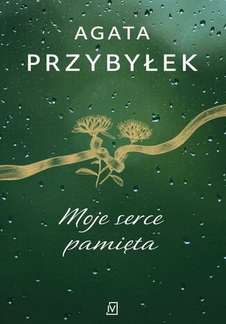 Moje serce pamięta. Detektyw Rafał Kamieński. Tom 4 Agata Przybyłek - okladka książki