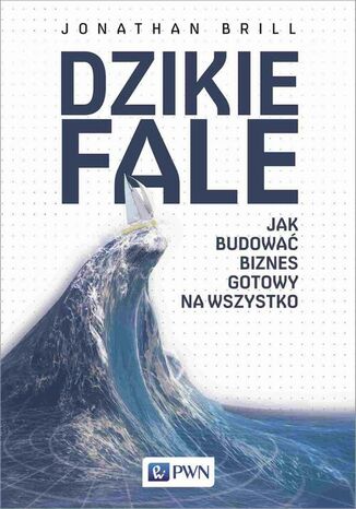 Dzikie fale Jonathan Brill - okladka książki