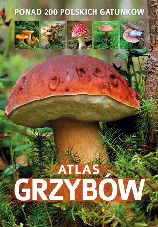 Atlas grzybów Patrycja Zarawska - okladka książki
