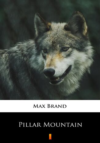 Pillar Mountain Max Brand - okladka książki