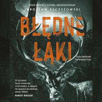 Błędne łąki Jarosław Szczyżowski - audiobook MP3