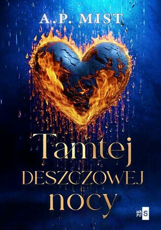 Tamtej deszczowej nocy A.P. Mist - okladka książki