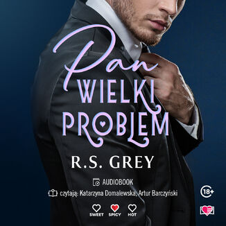 Pan Wielki Problem R. S. Grey - audiobook MP3