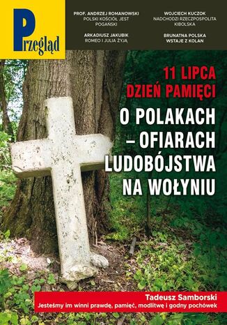Przegląd 28/2025 Jerzy Domański - okladka książki