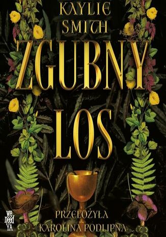 Zgubny los Kaylie Smith - audiobook MP3