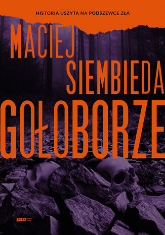Gołoborze Maciej Siembieda - okladka książki