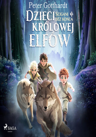 Dzieci królowej elfów 3  Ścigani bez końca (#3) Peter Gotthardt - audiobook MP3