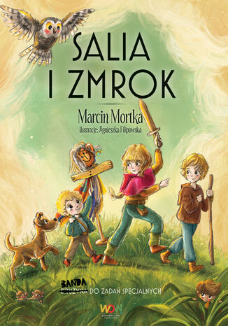 Salia i Zmrok Marcin Mortka - okladka książki
