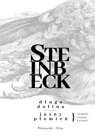 Długa dolina. Jasny płomień John Steinbeck - okladka książki