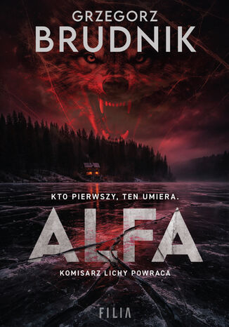 Alfa Grzegorz Brudnik - okladka książki