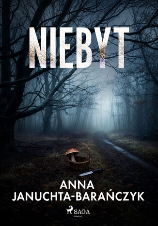 Niebyt Anna Januchta-Barańczyk - okladka książki