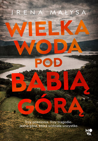 okladka