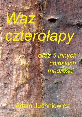 Wąż czterołapy oraz 5 innych chińskich mądrości Adam Juchniewicz - okladka książki